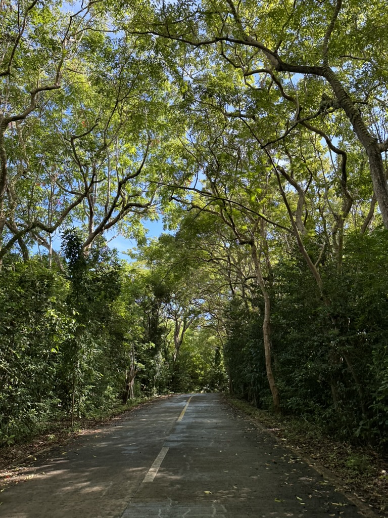 4c5d426c 4f12 4118 bba7 bce293827795 1 105 c